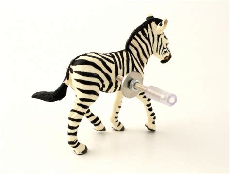 Zebra striped bedroom ideas florist. Safari Themed Bedroom Zebra Animal Cupboard or Drawer Knob