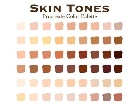 Skin Color Palette Palette Art Colors For Skin Tone Colour Tone