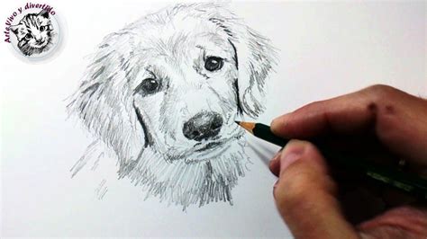 Técnicas Y Tips De Dibujo Con Lápiz De Grafito Y Cómo Dibujar Un Perro