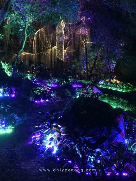 Penang avatar secret garden is a mini park with lit up garden, trees and structures. Paradise in Penang Avatar Secret Garden - OnlyPenang.com