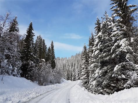 Free Images Tree Forest Mountain Snow Frost Country Road