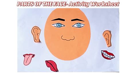 Parts Of The Facediy Worksheet Activity Worksheets For Nursery