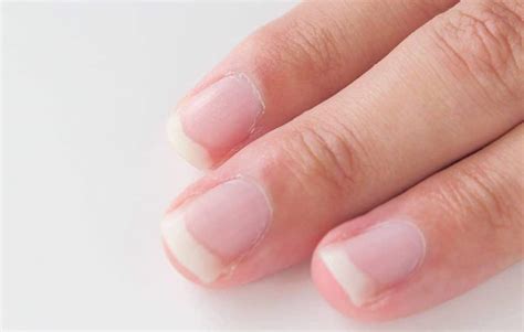Healthy Fingernails Ask The Scientists