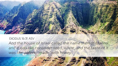 Exodus 1631 Asv Desktop Wallpaper And The House Of Israel Called The