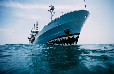 Sea Shepherd Le Berger Des Océans Imagine