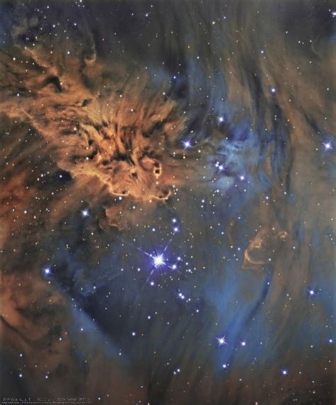 Fox Fur Nebula Nebula Star Sky Astrophotography