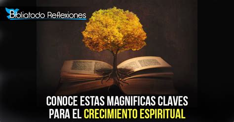 Conoce Estas Magnificas Claves Para El Crecimiento Espiritual