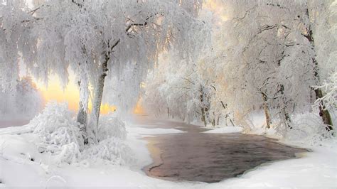 Winter River And Trees At Sunset Hd Wallpaper Background Image