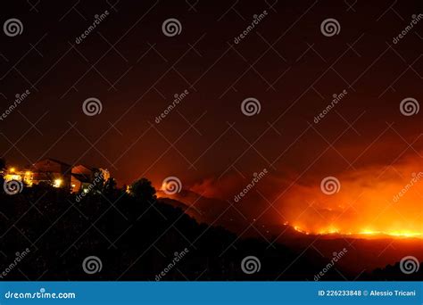 Large Forest Wildfire At Night Editorial Stock Photo Image Of Global