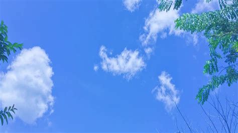 Chỉ đóng vai quần chúng nhưng thư vũ vẫn nổi bật khi đọ sắc bảo thanh, quỳnh nga trong 'về nhà đi con'. Vu Anh khanh vu duy hat hay - YouTube