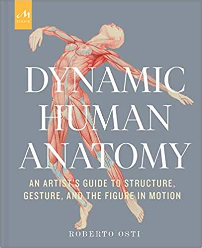 Pafa Pours Dynamic Human Anatomy Roberto Ostis Web Site