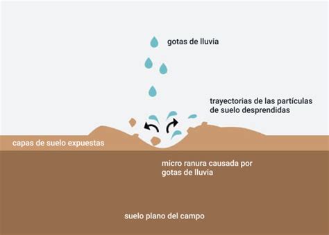 La Erosión Hídrica Y Sus Consecuencias En La Agricultura