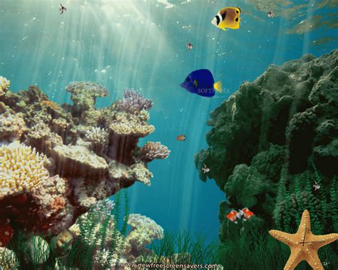 Underwater 3d Wallpaper Animated Underwater Wallpaper