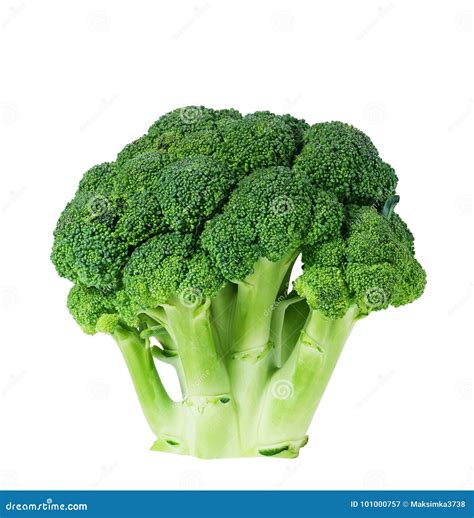 Head Of Broccoli Stock Image Image Of Vegetable Stalks 101000757