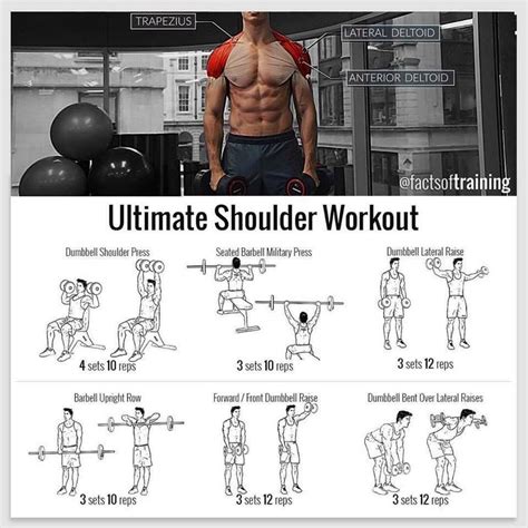 Pin By Shalene Ferrier On Hibfit Shoulder Workout Shoulder Workout Machine Gym Shoulder Workout