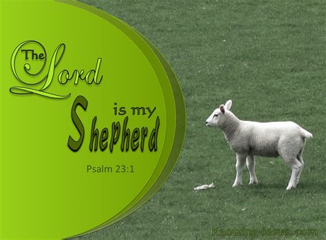 David declares, the lord is my shepherd. What Does Psalm 23:1 Mean?