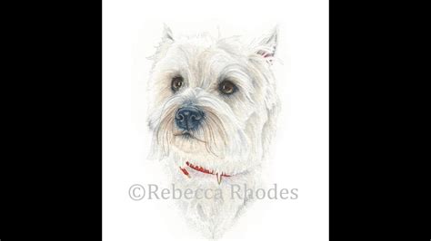 Maybe you would like to learn more about one of these? How to Paint a Realistic White Dog in Watercolor - YouTube