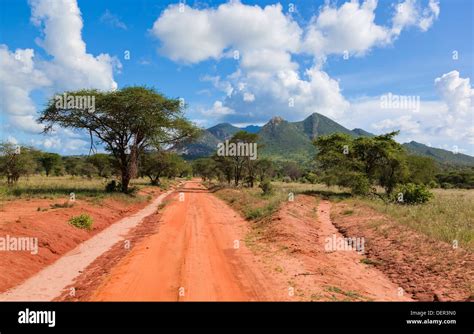 Dirt Road In Tsavo West National Park Kenya Africa Landscape Stock