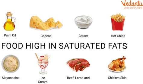 Food Containing Fat Overview Examples Types Of Fat And Summary