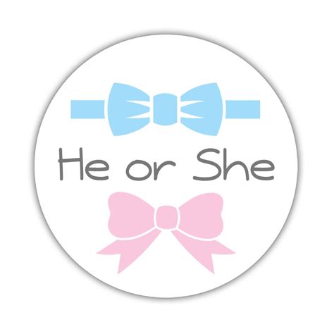 He Or She Stickers Gender Reveal Stickers Dazzling Daisies