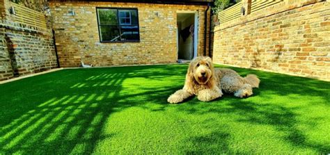 Artificial Grass For Dogs And Pets Easigrass™