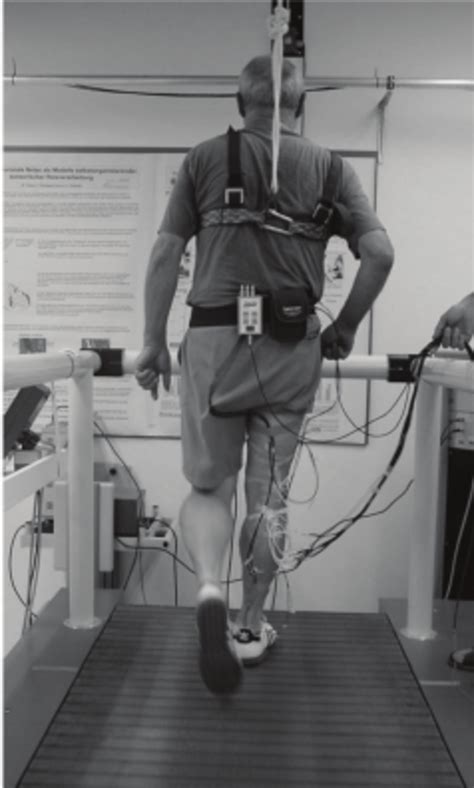 Assessment Of Reactive Balance Performance Using A Motorized Treadmill