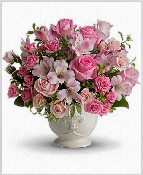 Pin By Naomi Braswell On Beautiful Flowers Pink Flower