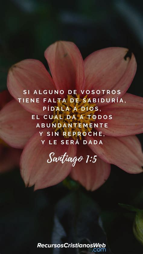 Versículos Bíblicos Sobre La Sabiduría De Dios Santiago 15