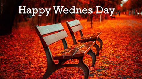 341 Wednesday Good Morning Wishes Images Photo Pics Wallpaper Hd