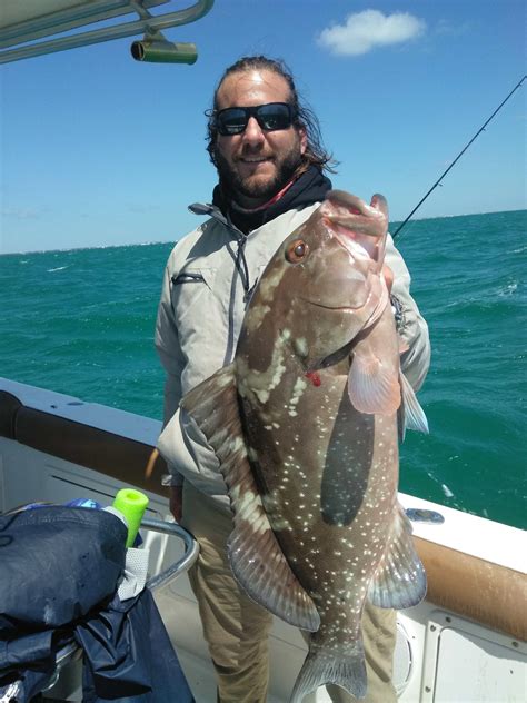 A Decent Red Grouper Caught In 25ft Of Water Off Of Marathon Fl