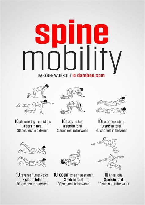 An Exercise Poster With Instructions To Use The Spine Mobility Workout
