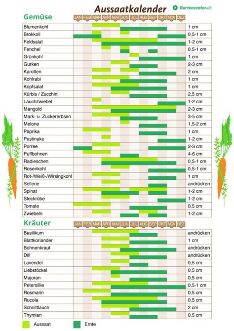 Im juli können die beete abgeerntet und neue pflanzen gesät oder gepflanzt werden. Pflanzkalender 2018: Wann man Gemüse und Kräuter pflanzen ...