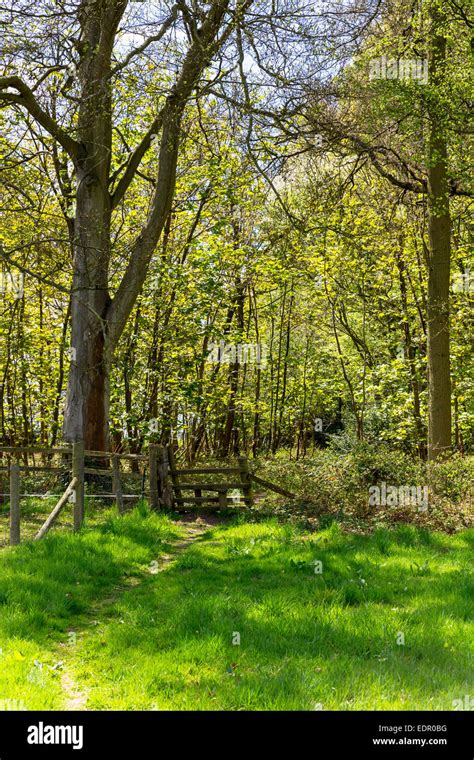 Traditional Wooden Style On Country Walk At Foxholes Within Bruern Wood