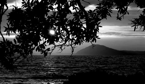 Ocean Sunset Silhouette Image Free Stock Photo