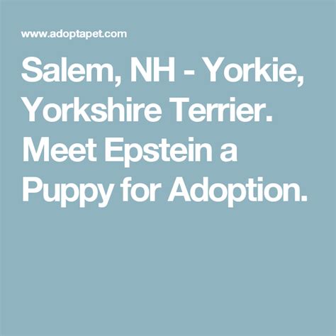 Learn more about salem animal rescue league in salem, nh, and search the available pets they have up for adoption on petfinder. Salem, NH - Yorkie, Yorkshire Terrier. Meet Epstein a ...