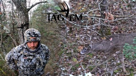 November 4 5th Rut Action Multiple Buck Encounters Wisconsin Youtube