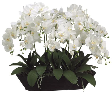 Lifelike White Phalaenopsis Orchid Arrangement In Decorative Oval Container Orchid Flower
