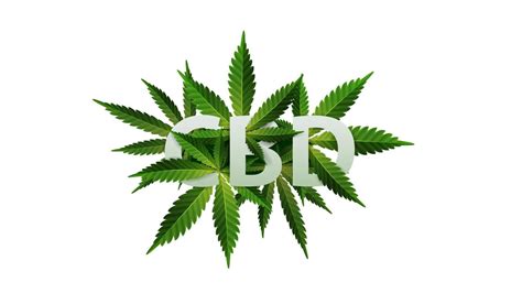 Cbd Logo Sign Symbol 3d Title Decorated With Cannabis Leafs