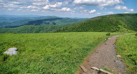 Roan Mountain Nc Balds Hike Appalachian Trail Hiking Hiking Trails