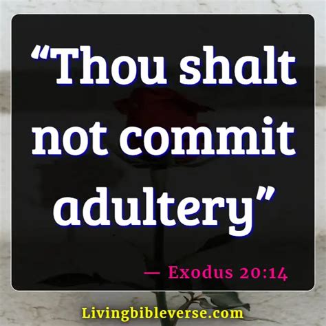 25bible Verses About Committing Adultery And Lust In Your Heart Kjv
