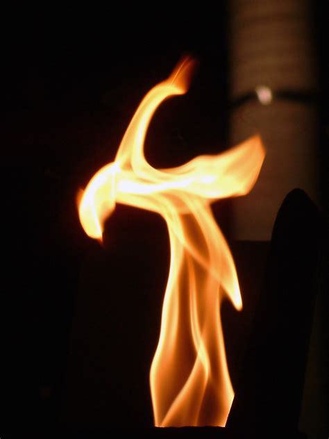Fileaustralia Cairns Flame Wikimedia Commons