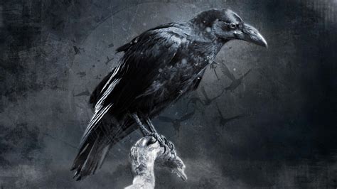 Black Raven Illustration Crow Digital Art Hd Wallpaper Wallpaper Flare