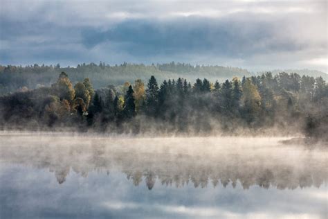 Estonian Scientists A Science Based Forest Management Is Estonias Key