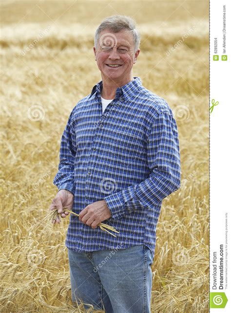 Farmer Inspecting Wheat Crop Stock Photo Image Of Portrait Middle