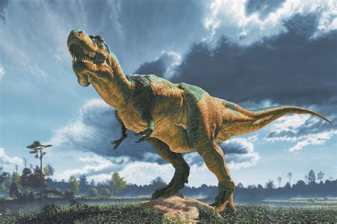Tyrannosaurus Rex Wild America Wiki Fandom