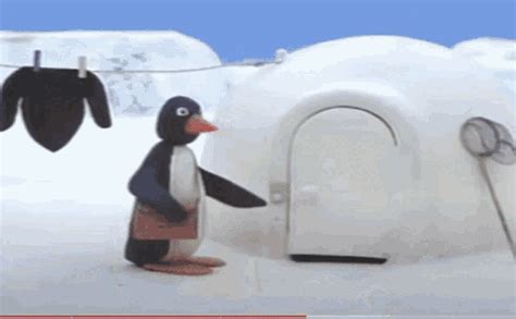 Pingu Broke Pingu Gif Pingu Broke Pingu Banka Discover Share Gifs