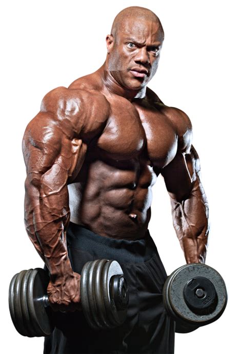 Bodybuilding Png Transparent Image Download Size 494x720px
