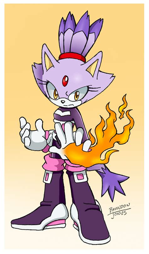 Blaze In Rouges Sonic Heroes Outfit By Leatherruffian On Deviantart