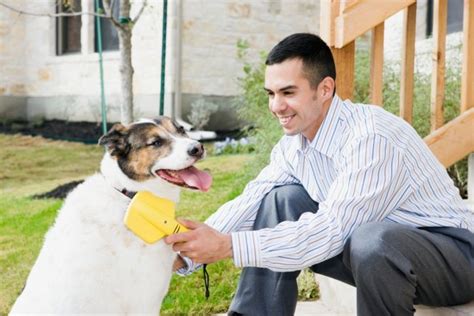 Cover vet fees up to £6000. This month is Responsible Pet Owners Month. Do something ...