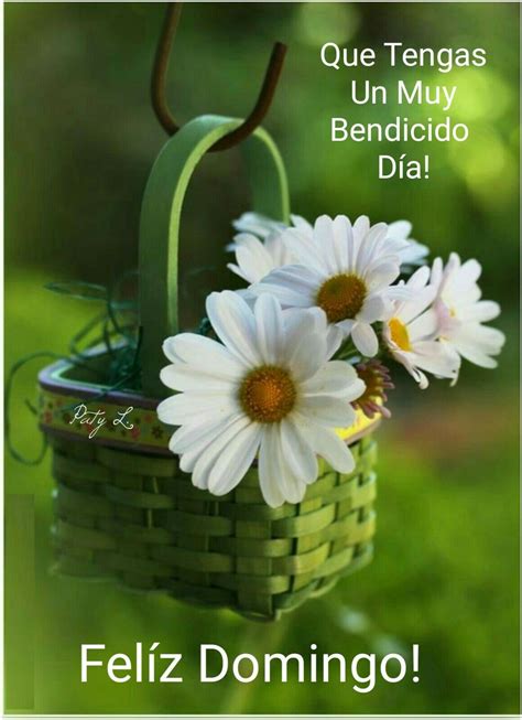 Feliz Domingo lindas imágenes - BonitasImagenes.net
